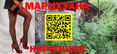 крисы Заводоуковск
