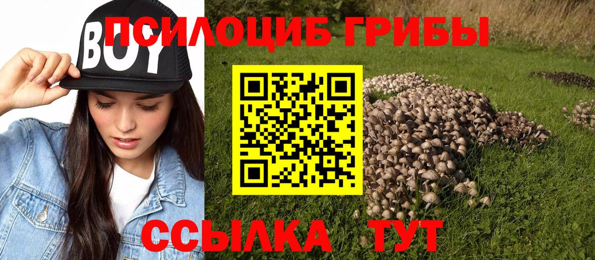 Псилоцибиновые грибы мухоморы Калининград